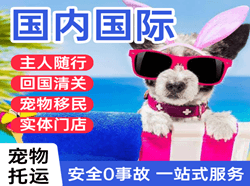 嘎洒航空运输国际宠物托运 【国